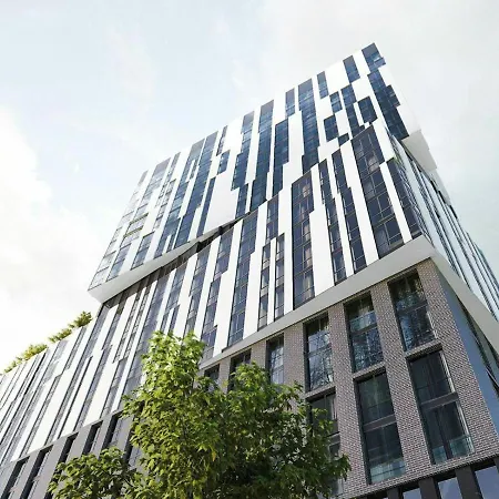 Elite In The Center Of *